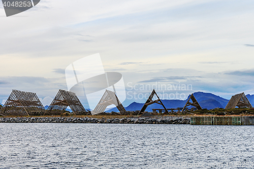 Image of Ready for stockfish production