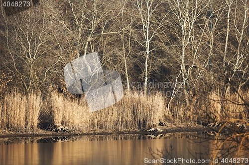 Image of Lakeside autumn landscape