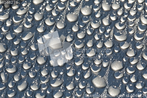 Image of Shiny Water Droplets