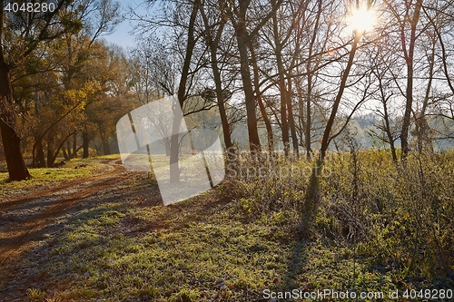 Image of Autumn morning landscape