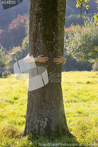 Image of Woman embracing a tree