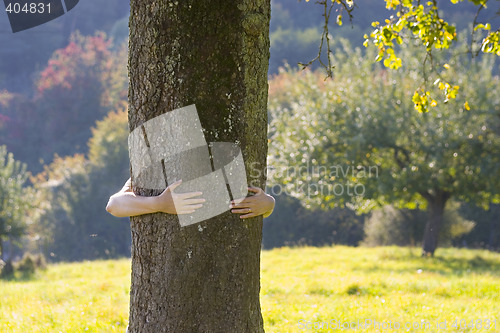 Image of Woman embracing a tree