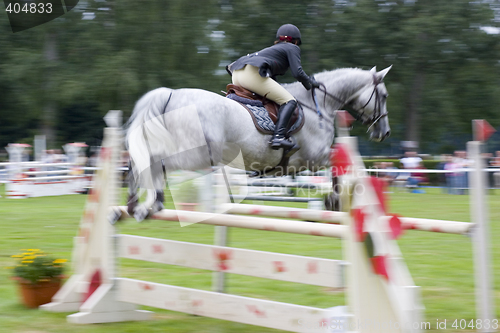 Image of Jumping horse