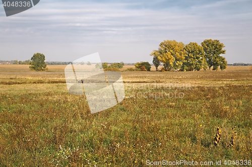 Image of Barren field in the countryside