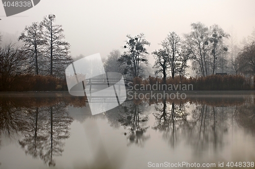 Image of Dark autumn park