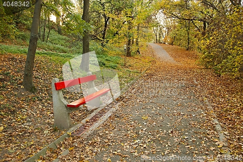 Image of Autumn park with bench