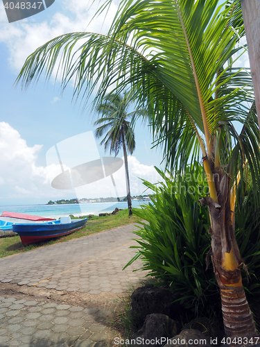 Image of panga fishing speed boats roadside with capital Brig Bay Big Cor