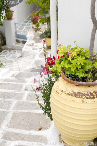 Image of typical street scene with geraniums in pot stone streets with wh