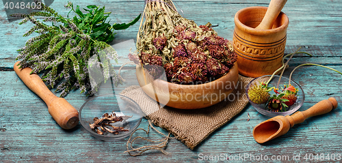 Image of Set of medicinal herbs