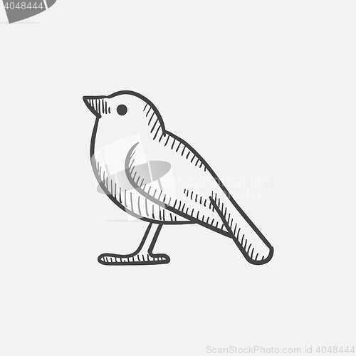 Image of Bird sketch icon.