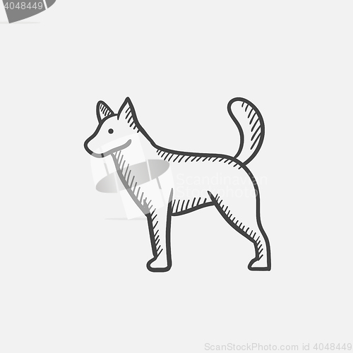 Image of Dod sketch icon.
