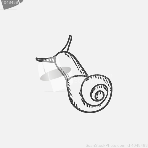 Image of Snail sketch icon.