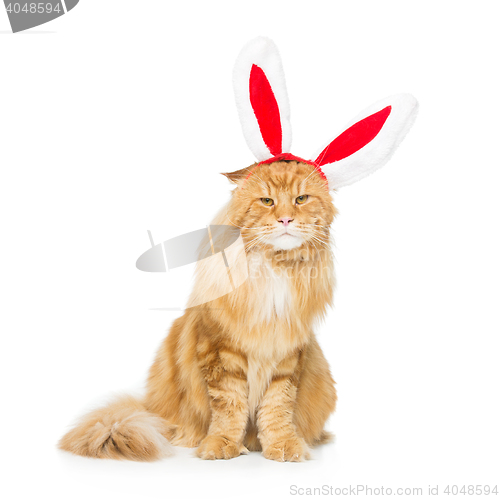 Image of Big ginger cat in christmas rabbit ears head rim