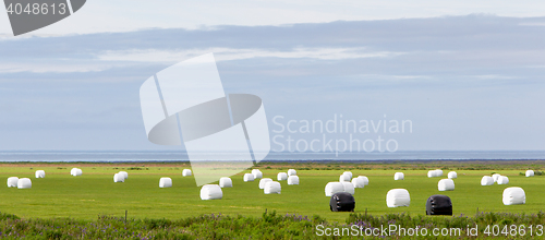 Image of Hay bales sealed with plastic wrap