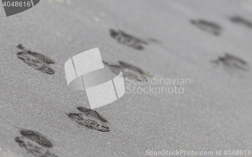 Image of Footsteps on an Icelandic beach