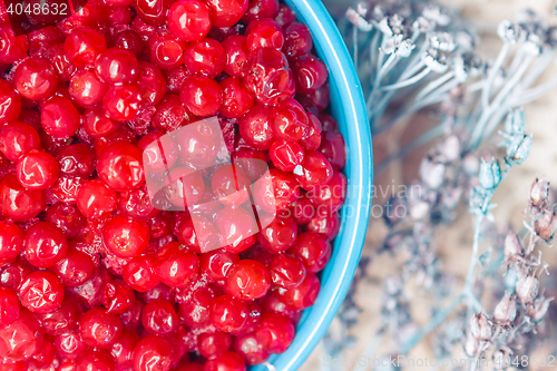 Image of Cranberry Closeup In Turquoise Bowl