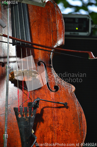 Image of Contrabass