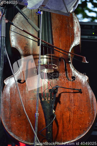 Image of Contrabass