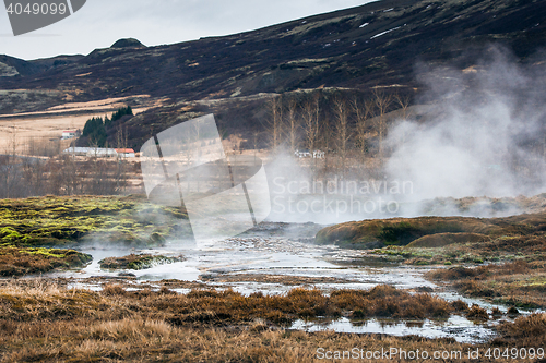 Image of Geothermal swamp in icelandic nature