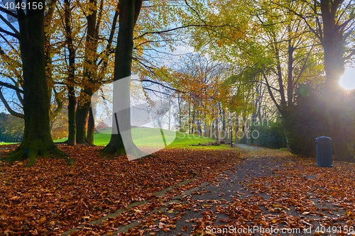 Image of Colorful autumn park