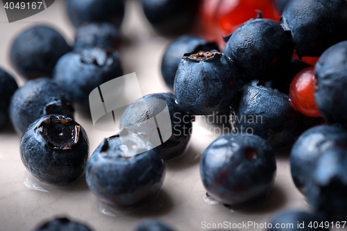 Image of Berries closeup photo