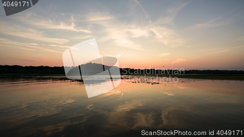 Image of Small river flowing