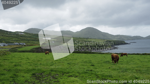 Image of Irish coast landscape