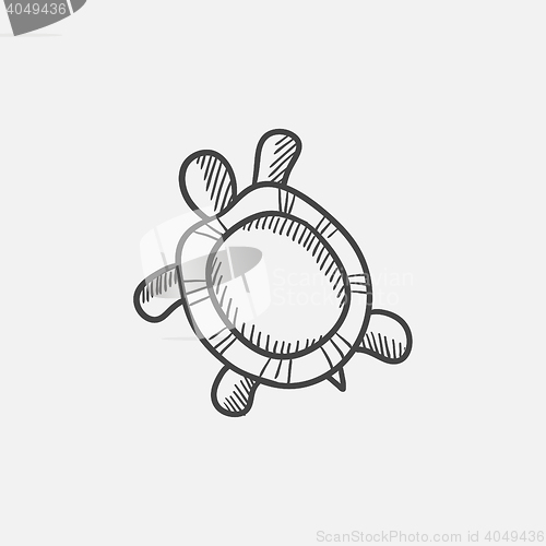 Image of Turtle sketch icon.