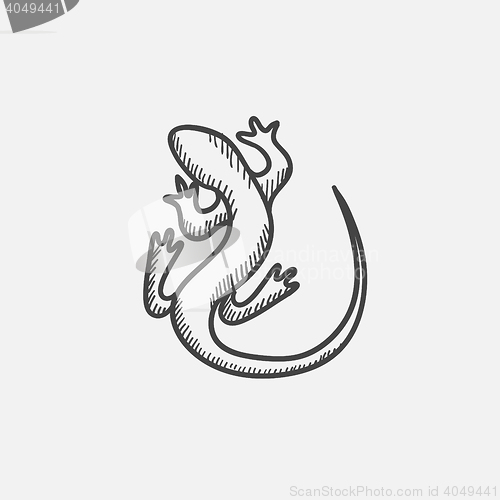 Image of Lizard sketch icon.