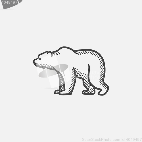 Image of Bear sketch icon.