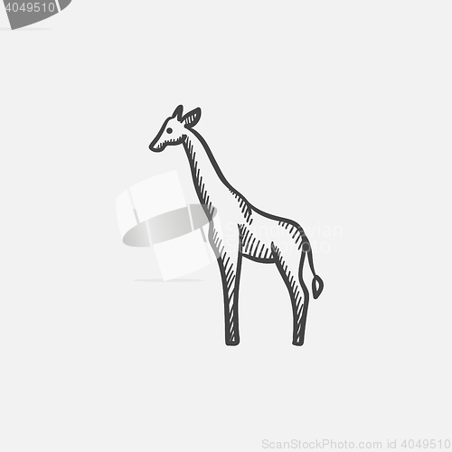 Image of Giraffe sketch icon.