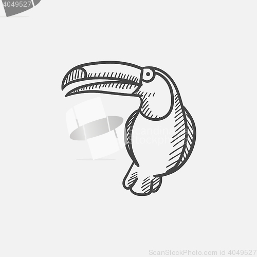 Image of Toucan sketch icon.