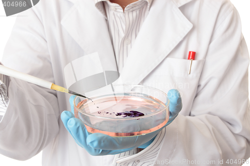 Image of Pipette and petri dish