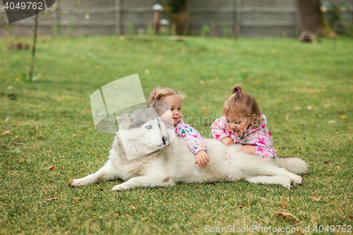 Image of The two little baby girls playing with dog against green grass