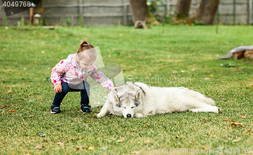 Image of The little baby girl playing with dog against green grass