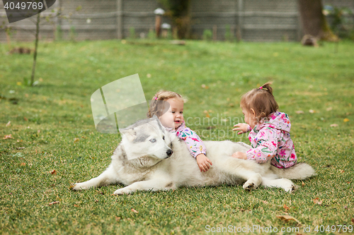 Image of The two little baby girls playing with dog against green grass