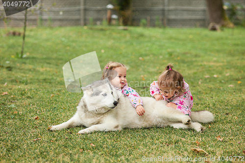 Image of The two little baby girls playing with dog against green grass