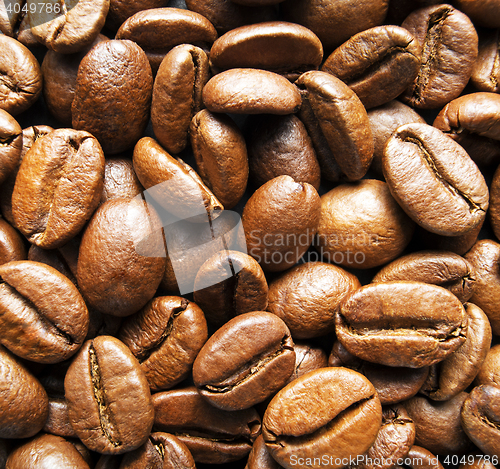 Image of Coffee beans