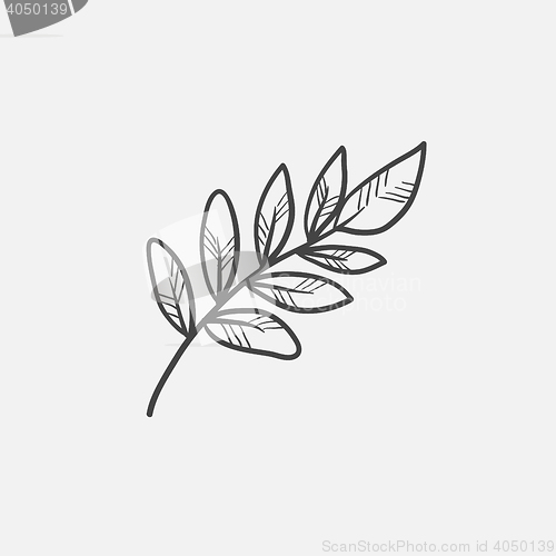 Image of Palm branch sketch icon.