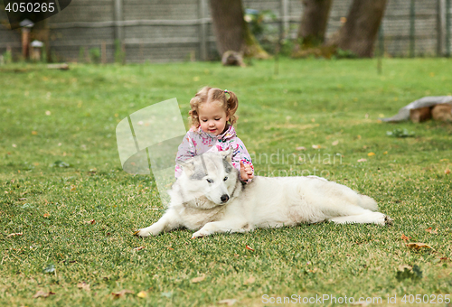 Image of The little baby girl playing with dog against green grass