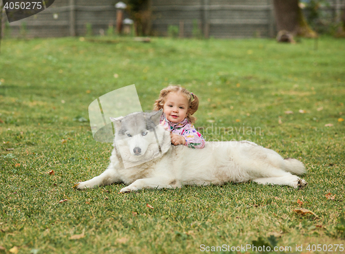 Image of The little baby girl playing with dog against green grass