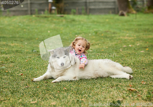 Image of The little baby girl playing with dog against green grass