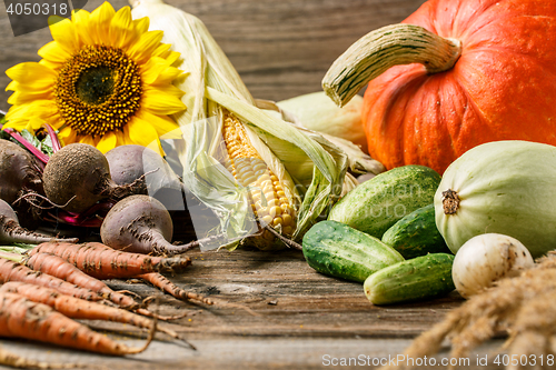 Image of autumn harvest in rustic