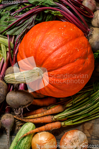 Image of Autumn vegetables background