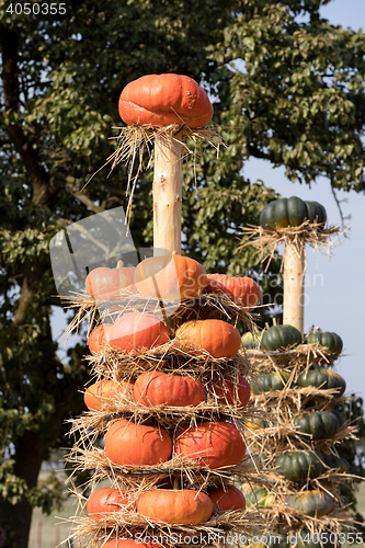 Image of Ripe autumn pumpkins arranged on totem