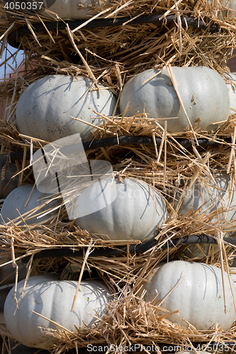 Image of Ripe autumn pumpkins arranged on totem