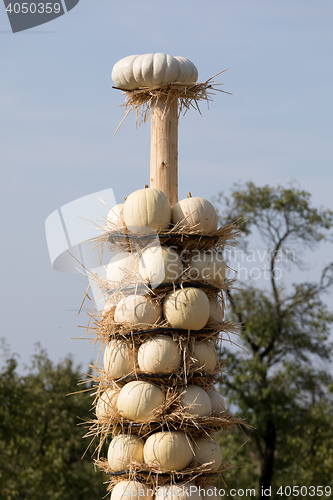 Image of Ripe autumn pumpkins arranged on totem