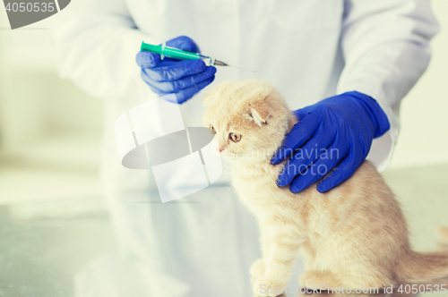 Image of close up of vet making vaccine to kitten at clinic