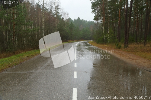 Image of Autumn Wet Road