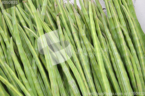 Image of Drumstick Vegetable or Moringa